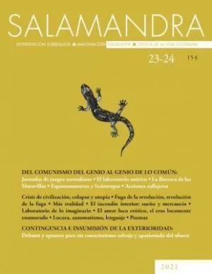 SALAMANDRA INTERVENCION SURREALISTA Nº 23/24