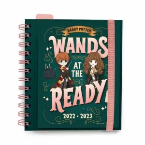 AGENDA ESCOLAR 2022/2023 DIA VISTO PAGINA HARRY POTTER