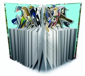 AVIARY, THE - THE BOOK THAT TRANSFORMS INTO A WORK OF ART