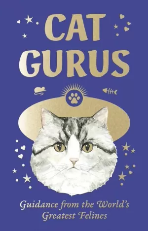 CAT GURUS MINI CARDS