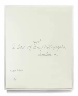 DIANE ARBUS - A BOX OF TEN PHOTOGRAPHS