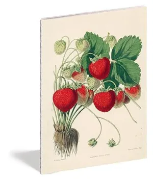 JOHN DERIAN PAPER GOODS: KITCHEN DELIGHTS NOTEBOOKS
