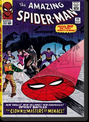 MARVEL COMICS LIBRARY. SPIDER-MAN. VOL. 2. 1965-1966