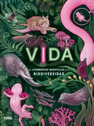 VIDA