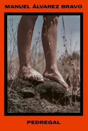 MANUEL ÁLVAREZ BRAVO. PEDREGAL