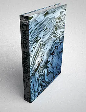 A ROCK TURNS INTO A FROG