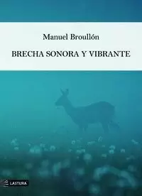 BRECHA SONORA Y VIBRANTE