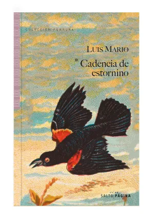 CADENCIA DE ESTORNINO