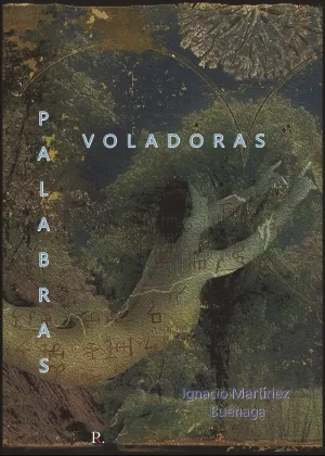 PALABRAS VOLADORAS