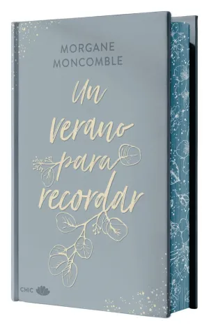 UN VERANO PARA RECORDAR (EDICIÓN ESPECIAL LIMITADA CON CANTOS PINTADOS)