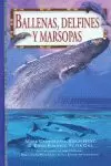 BALLENAS, DELFINES Y MARSOPAS