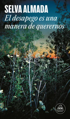 EL DESAPEGO ES UNA MANERA DE QUERERNOS (MAPA DE LAS LENGUAS)