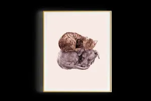 LAMINA PRINT COMPAÑÍA DE JUDIT MIAU A5