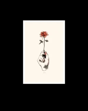 POSTAL ROSA DE JUDIT MIAU