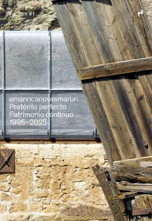PRETERITO PERFECTO: PATRIMONIO CONTINUO